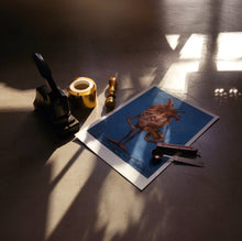 um só de dois nós (em cor) - impressão certificada