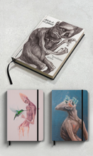 Combo Livro Diário de um Pintor + Handbooks