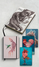 Combo Livro Diário de um Pintor + Handbook o beijo do amor verdadeiro + 3 Journal