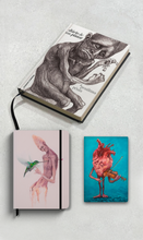 Combo Livro Diário de um Pintor + Handbook o beijo do amor verdadeiro + Journal tocando com o coração