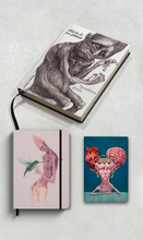 Combo Livro Diário de um Pintor + Handbook o beijo do amor verdadeiro + Journal mais uma vitória do coração, sem razão