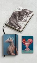 Combo Livro Diário de um Pintor + Handbook homem sufocado com sua própria delicadeza + Journal mais uma vitória do coração, sem razão