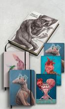 Combo Livro Diário de um Pintor + Handbooks + Journals