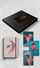 Combo Livro Enquanto a luz durar + Handbook o beijo do amor verdadeiro + 3 Journal