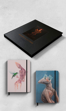 Combo Livro Enquanto a luz durar + Handbooks