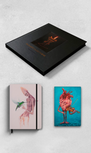 Combo Livro Enquanto a luz durar + Handbook o beijo do amor verdadeiro + Journal tocando com o coração