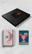 Combo Livro Enquanto a luz durar + Handbook o beijo do amor verdadeiro + Journal mais uma vitória do coração, sem razão