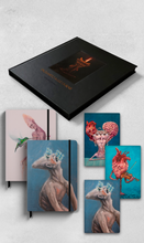 Combo Livro Enquanto a luz durar + Handbooks + Journals