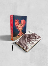 Combo livros + Quebra-Cabeça: mais uma vitória do coração, sem razão