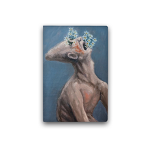 JOURNAL | HOMEM SUFOCADO COM SUA PRÓPRIA DELICADEZA