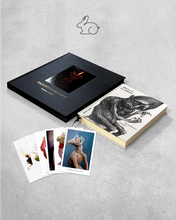 2 Livros + 6 Prints (1ª Coleção) - Promoção de Páscoa