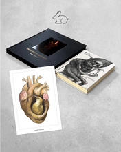 2 Livros + Pôster "coração de barro" -  Promoção de Páscoa