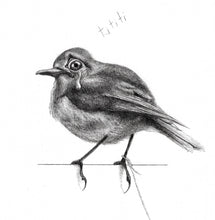 esqueça suas asas, esqueça o céu, esqueça que o tempo voa. agora você é meu. apenas cante para mim — Desenho Original