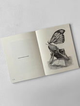 Combo Livro Diário de um Pintor + Handbooks